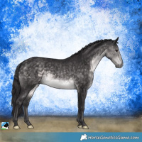 Horse Color:Platinum Buckskin Rabicano