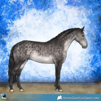 Horse Color:Platinum Buckskin Rabicano 
