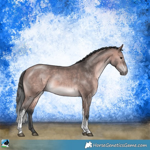 Horse Color:Platinum Bay Tobiano Rabicano 