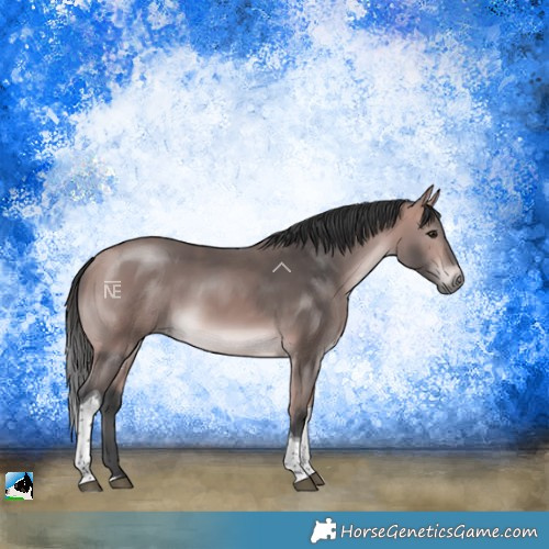 Horse Color:Platinum Bay Tobiano Rabicano