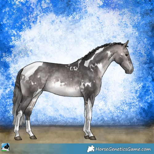 Horse Color:Platinum White Spotted Buckskin Tobiano Rabicano 