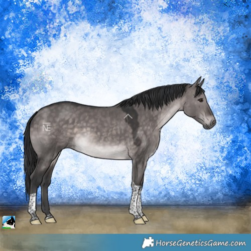 Horse Color:Platinum Brown Dun Tobiano Rabicano