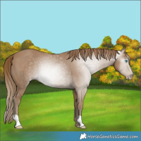 Horse Color:Gray Smoky Creme 