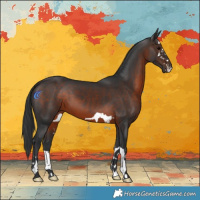 Horse Color:Brown 