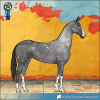 Horse Color:Smoky Black 