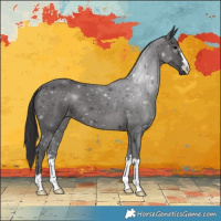 Horse Color:Smoky Black