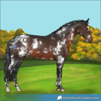 Horse Color:White Spotted Brown Mushroom 