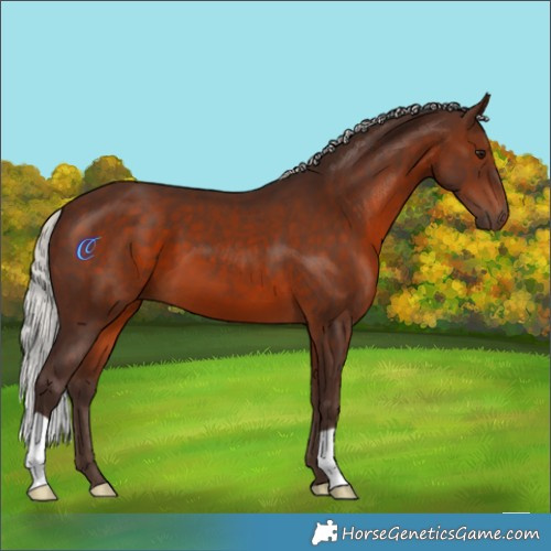 Horse Color:Silver Brown 