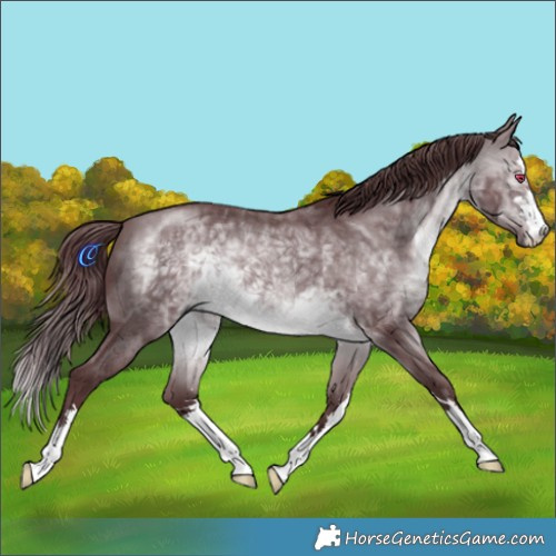Horse Color:Chocolate Brown Chinchilla 