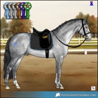 Horse Color:Brown Chinchilla 