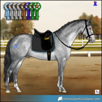 Horse Color:Brown Chinchilla