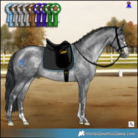 Horse Color:Brown Chinchilla 