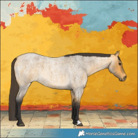 Horse Color:Buckskin Roan 