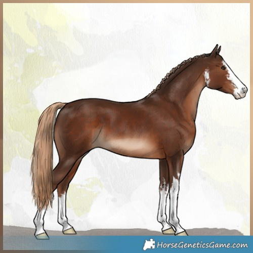 Horse Color:White Spotted Liver Chestnut 
