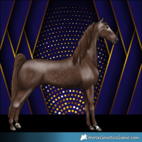 Horse Color:Gray Chestnut 