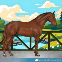 Horse Color:Chestnut 