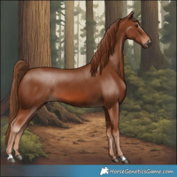 Horse Color:Chestnut 
