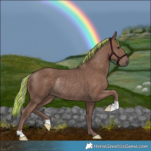 Horse Color:Painted Silver Black Rabicano 