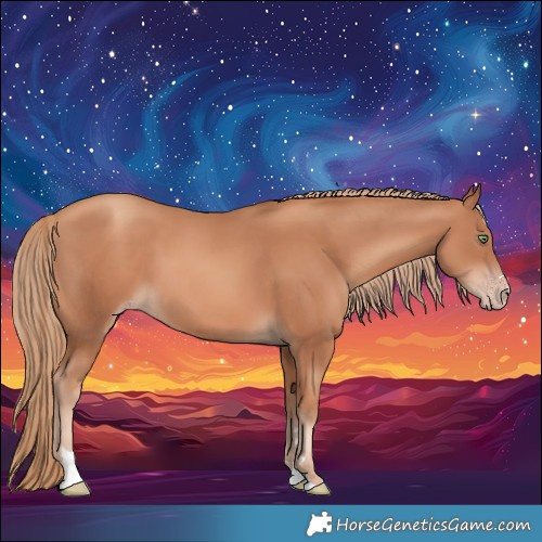 Horse Color:Gold Champagne 