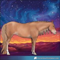 Horse Color:Gold Champagne 