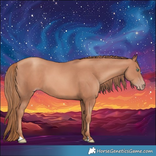 Horse Color:Gold Champagne