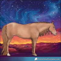 Horse Color:Gold Champagne 