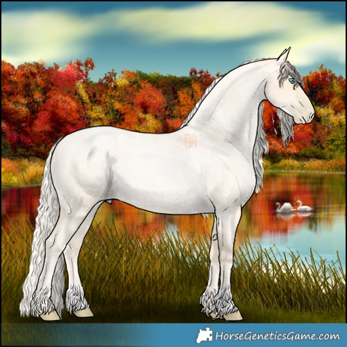 Horse Color:Palomino Roan Pearl  and Palomino Roan Pearl 