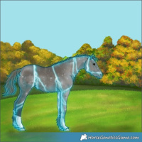 Horse Color:Thunderstruck Smoky Grullo Varnish