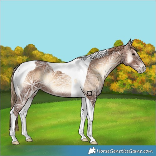 Horse Color:Red Onyx Ice Tobiano 