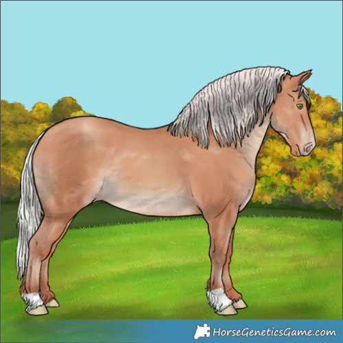 Horse Color:Silver Sable Champagne 