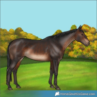 Horse Color:Brown 