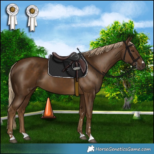 Horse Color:Chocolate Palomino 