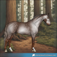 Horse Color:Gray Chestnut 