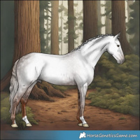 Horse Color:Gray Chestnut 