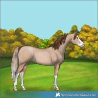 Horse Color:White Spotted Brown Pearl Dun Splash 