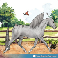 Horse Color:Grullo Varnish 