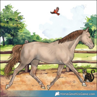 Horse Color:Gold Champagne Dun