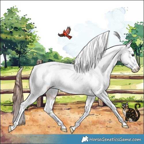 Horse Color:Red Dun Tobiano Varnish 
