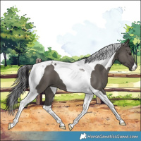 Horse Color:Smoky Grullo Tobiano 