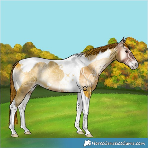 Horse Color:Red Onyx Ice Tobiano