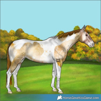 Horse Color:Red Onyx Ice Tobiano