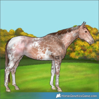 Horse Color:Chestnut Ice Tobiano