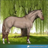 Horse Color:Liver Red Dun 