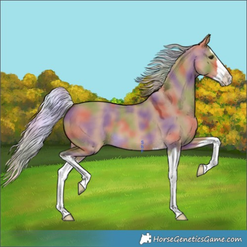 Horse Color:Nacre Silver Bay Dun Splash 