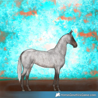 Horse Color:Silver Brown Roan Rabicano 
