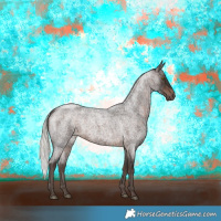 Horse Color:Silver Brown Roan Rabicano 