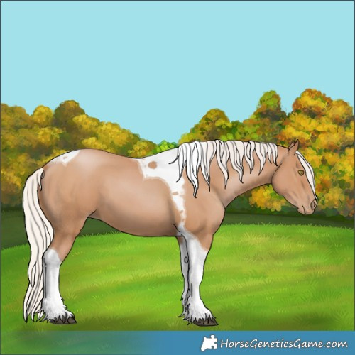 Horse Color:Silver Black Pearl Tobiano 