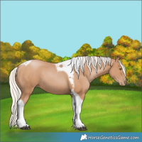 Horse Color:Silver Black Pearl Tobiano 