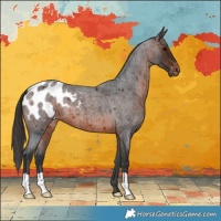 Horse Color:Brown Roan Blanket 