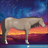 Horse Color:Classic Champagne